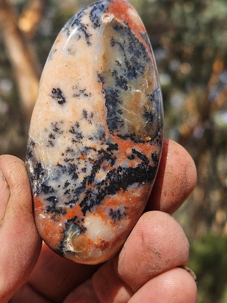 Tumble Polished Dendritic Opal DOT110