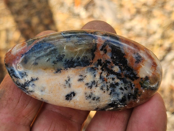 Tumble Polished Dendritic Opal DOT110