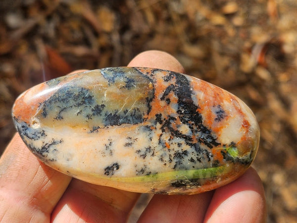 Tumble Polished Dendritic Opal DOT110