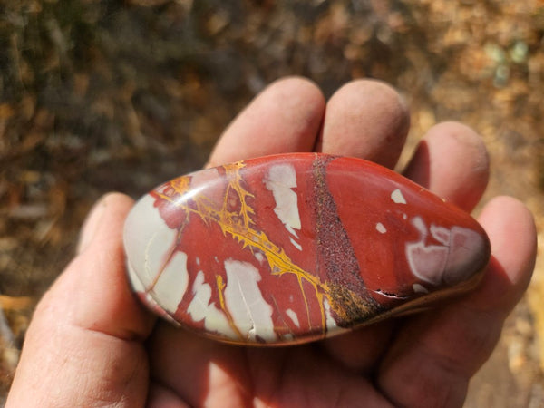 Tumble Polished Noreena Jasper NJT133