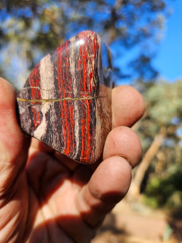 Tumble Polished Snakeskin Jasper SST129