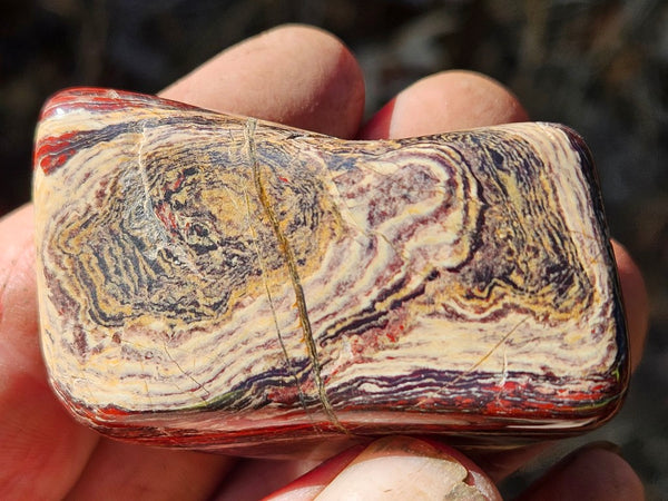 Tumble Polished Snakeskin Jasper SST129