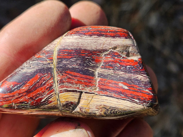 Tumble Polished Snakeskin Jasper SST129