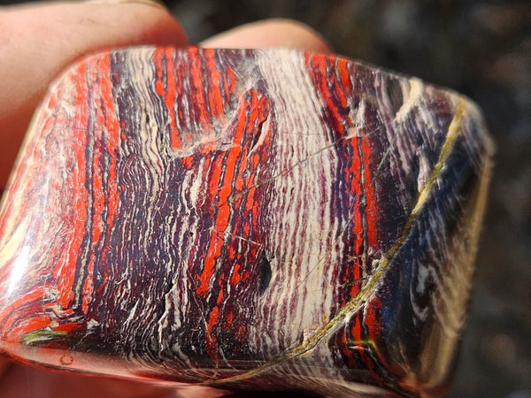 Tumble Polished Snakeskin Jasper SST129