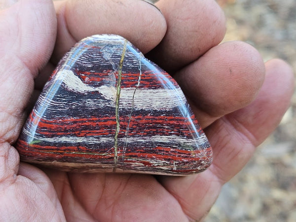 Tumble Polished Snakeskin Jasper SST129
