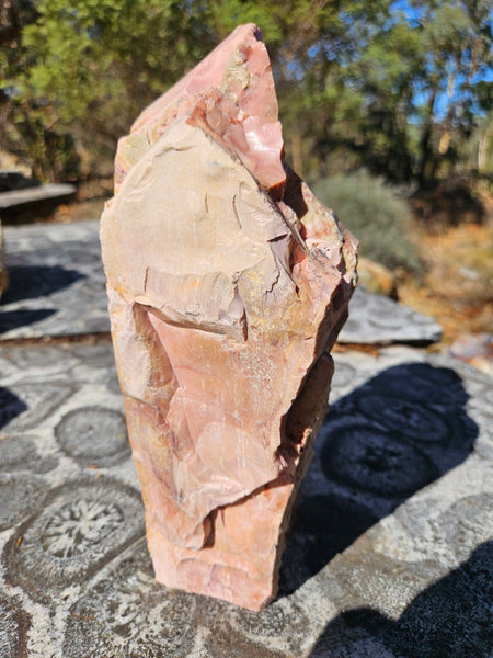 Polished Pink Opal  POP202