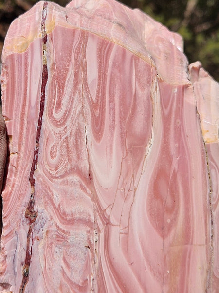 Polished Pink Opal  POP202
