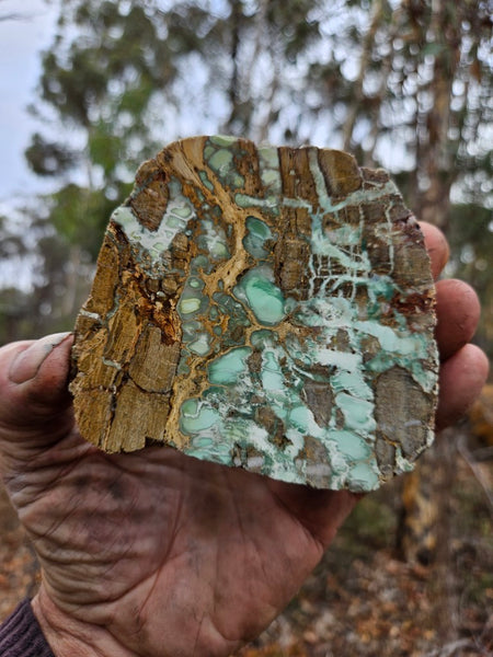 Variscite Polished Slab.  VP 292