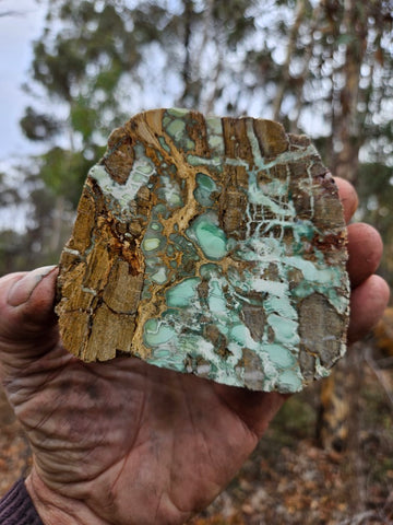 Variscite Polished Slab.  VP 292