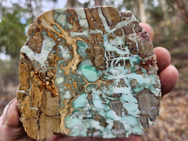 Variscite Polished Slab.  VP 292