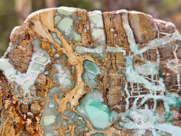 Variscite Polished Slab.  VP 292