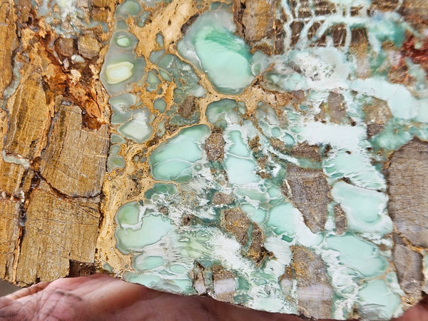 Variscite Polished Slab.  VP 292