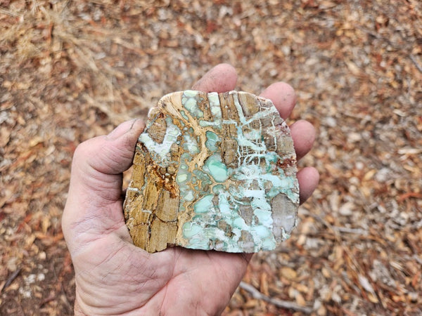 Variscite Polished Slab.  VP 292