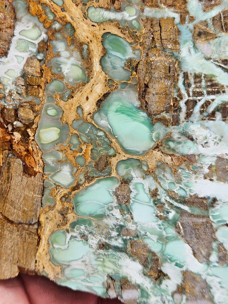 Variscite Polished Slab.  VP 292