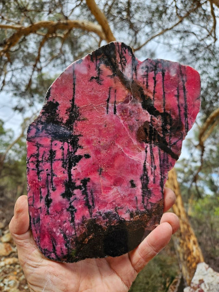 Polished Rhodonite slab RH288 – GemstoneGeeks.
