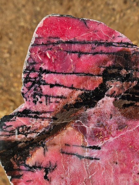 Polished Rhodonite slab RH288