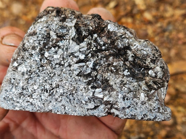 Pegmatite (with Zinnwaldite) PG132