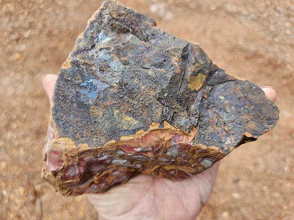 Noreena Jasper rough NJR182