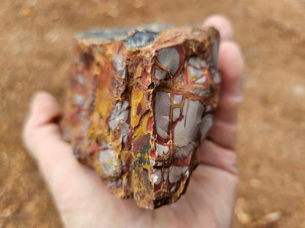 Noreena Jasper rough NJR182