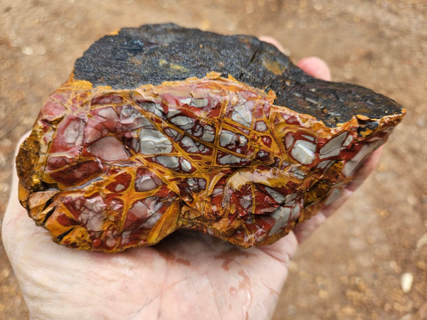 Noreena Jasper rough NJR182