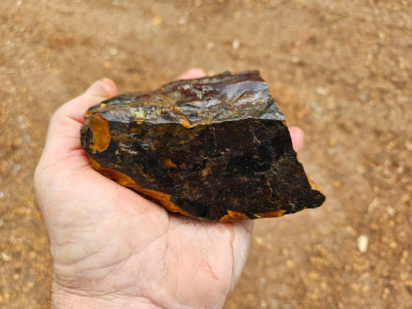 Noreena Jasper rough NJR182