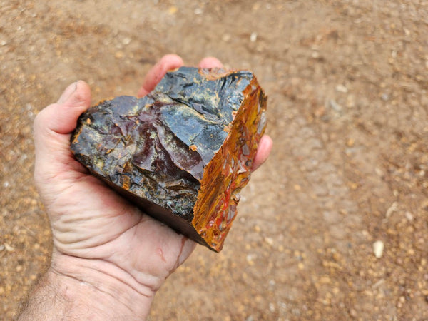 Noreena Jasper rough NJR182