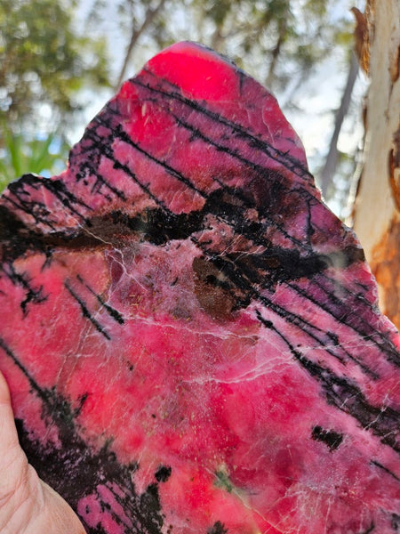 Polished Rhodonite slab RH288