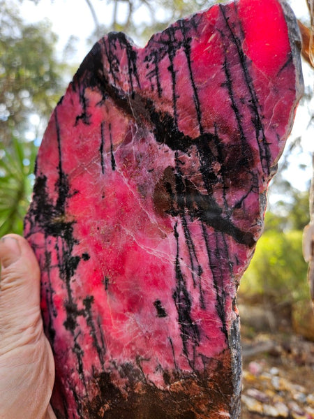 Polished Rhodonite slab RH288