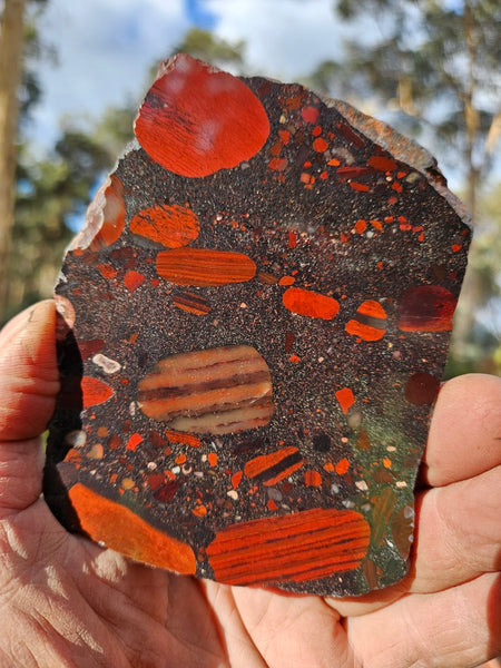 Jelly Bean Jasper polished slab JBJ347