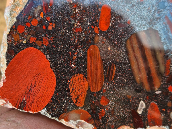 Jelly Bean Jasper polished slab JBJ347