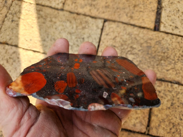 Jelly Bean Jasper polished slab JBJ347