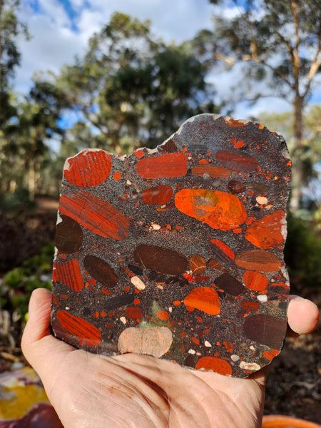 Jelly Bean Jasper polished slab JBJ348