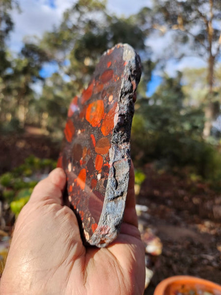 Jelly Bean Jasper polished slab JBJ348