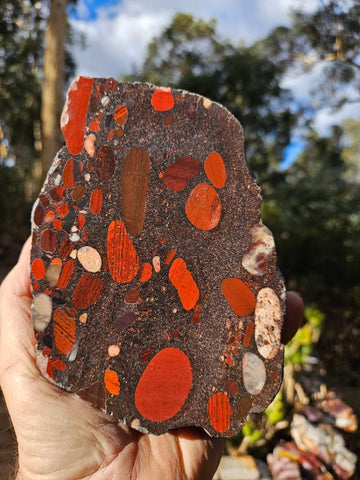 Polished Jelly Bean Jasper  JBJ349