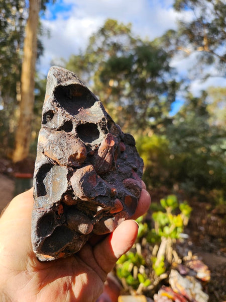 Polished Jelly Bean Jasper  JBJ349