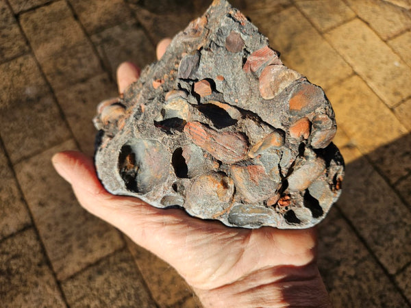 Polished Jelly Bean Jasper  JBJ349