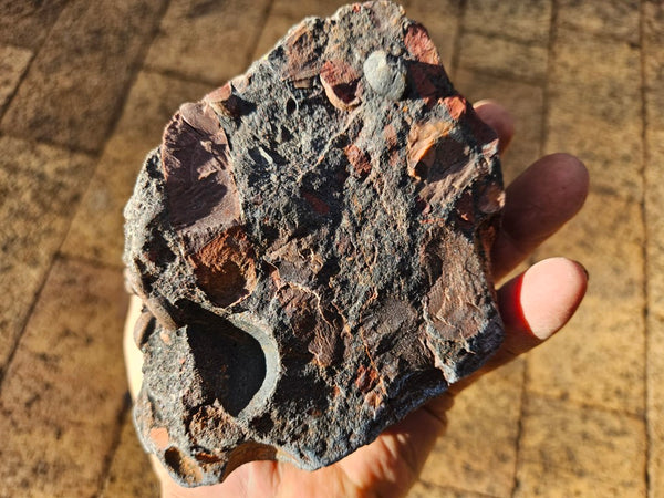 Polished Jelly Bean Jasper  JBJ349
