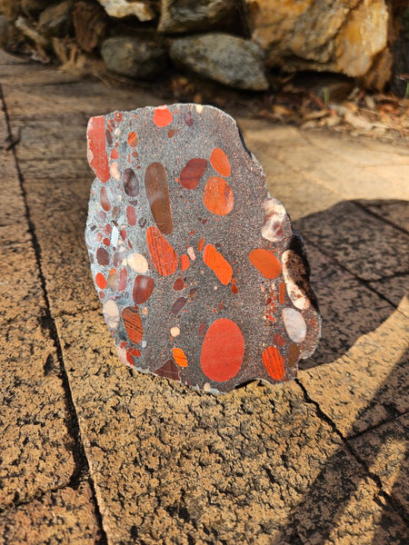 Polished Jelly Bean Jasper  JBJ349