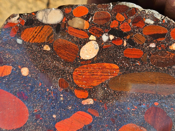 Polished Jelly Bean Jasper  JBJ349