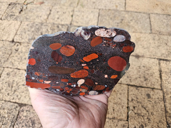 Polished Jelly Bean Jasper  JBJ349