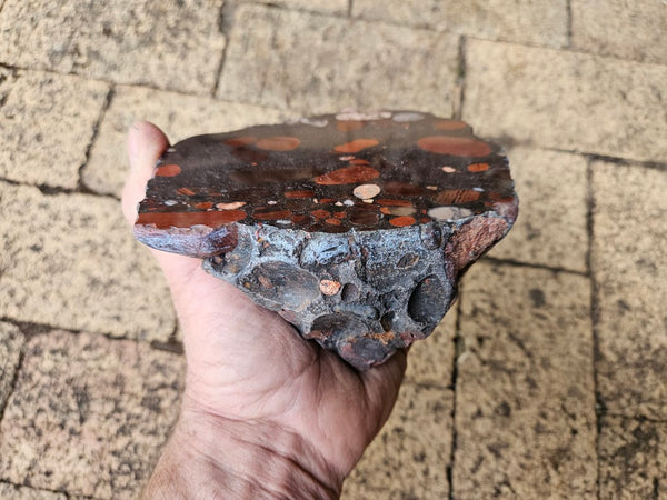 Polished Jelly Bean Jasper  JBJ349