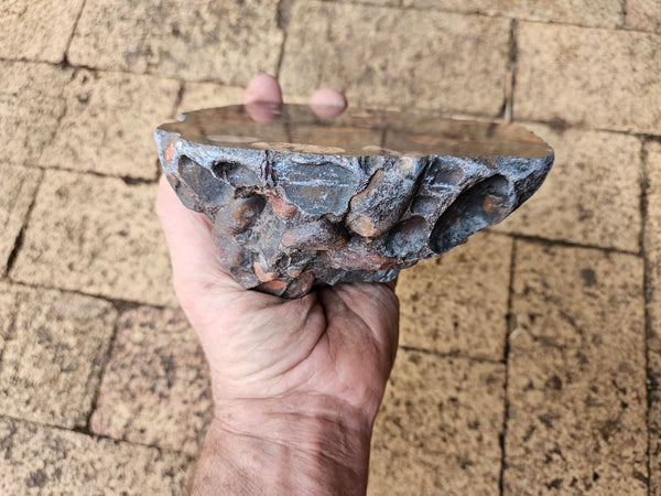 Polished Jelly Bean Jasper  JBJ349