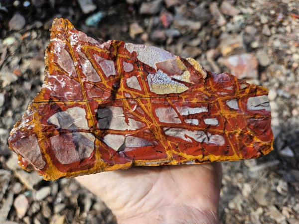 Noreena Jasper rough NJR184