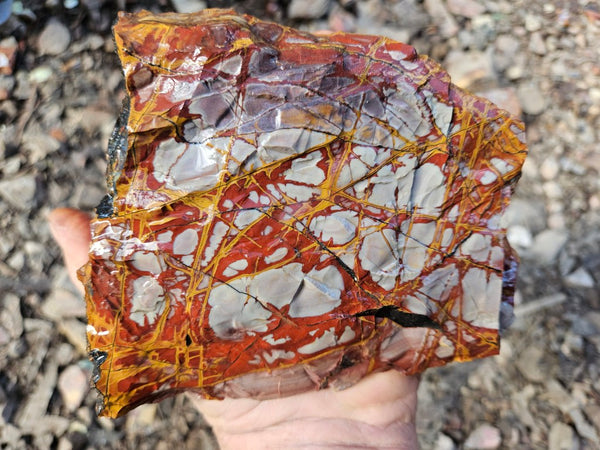 Noreena Jasper rough NJR184