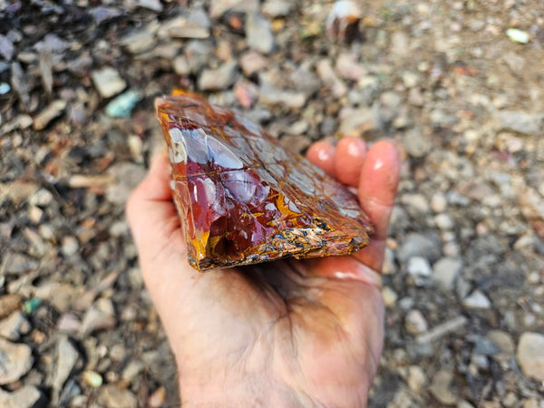 Noreena Jasper rough NJR184