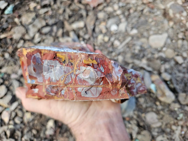 Noreena Jasper rough NJR185