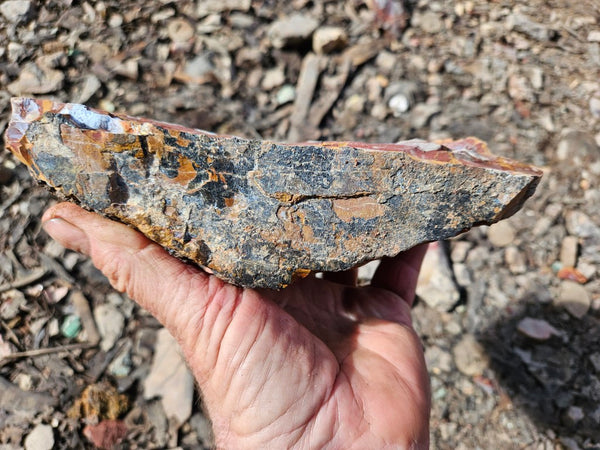 Noreena Jasper rough NJR183