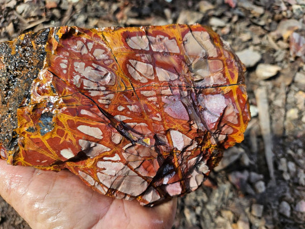 Noreena Jasper rough NJR183