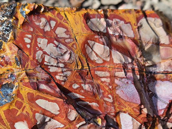Noreena Jasper rough NJR183