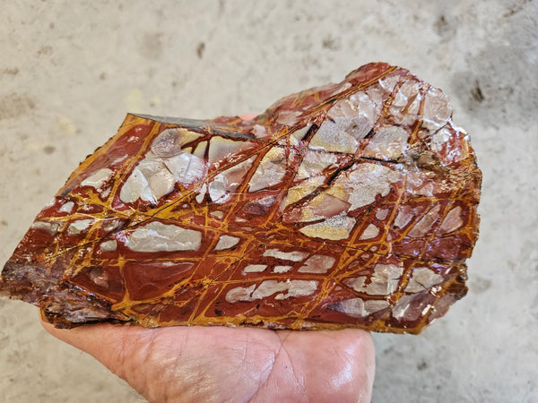 Noreena Jasper rough NJR183